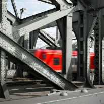 До 30 ноября приглашаем на фотовыставку "Жизнь под мостами"